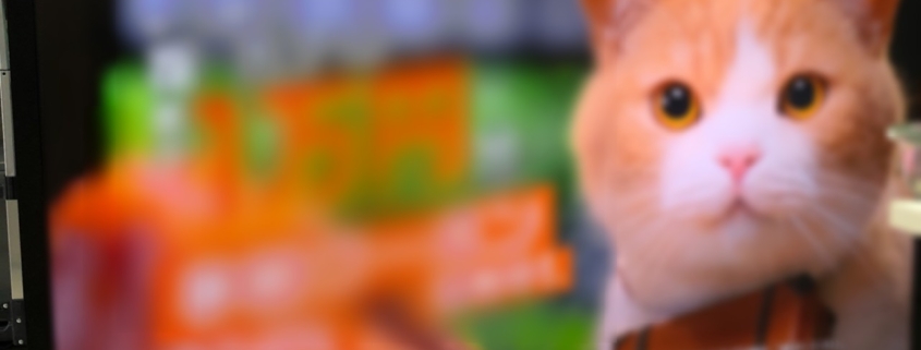 液晶テレビ（AQUOS）